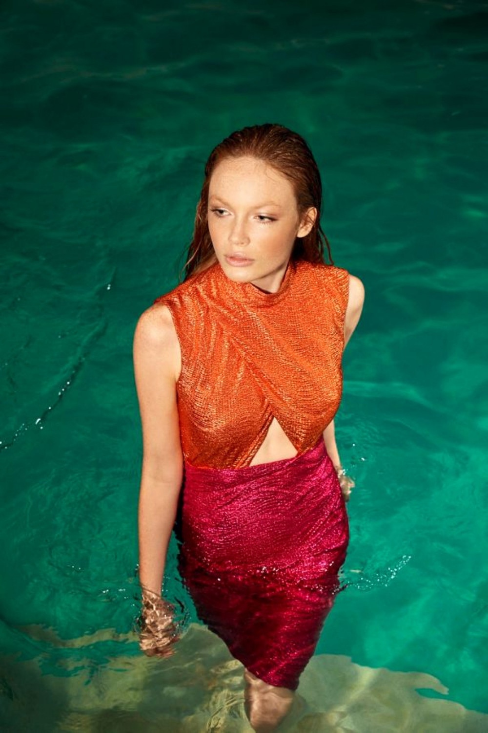 Dessy Savova image