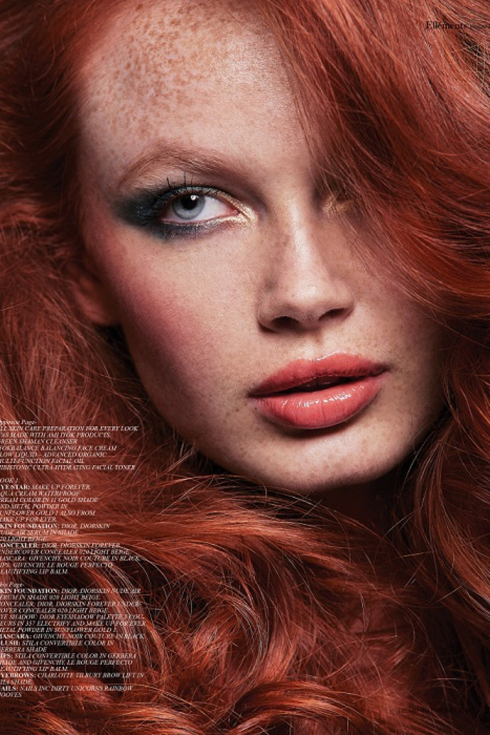 Dessy Savova image