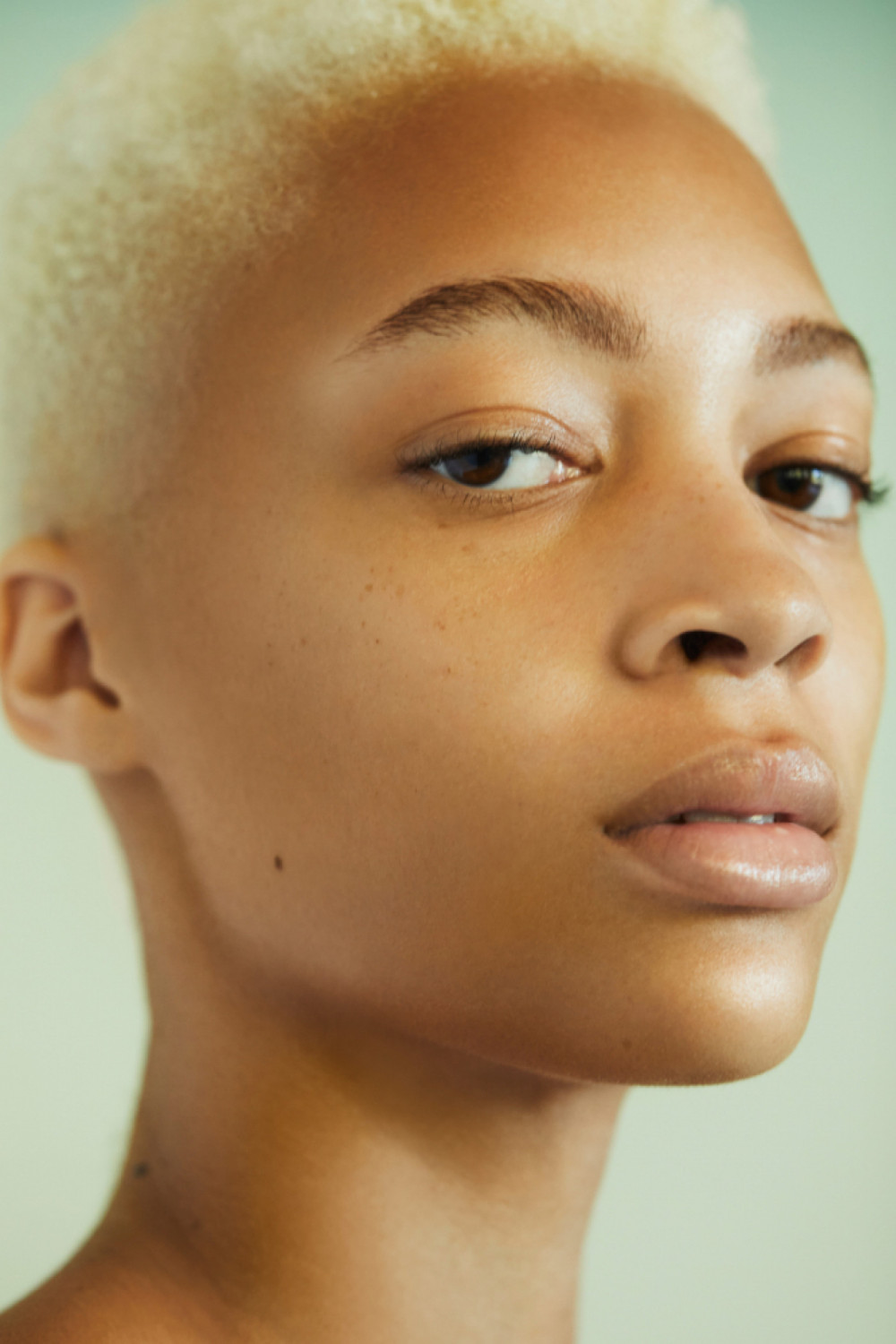 Kristienne Williams image