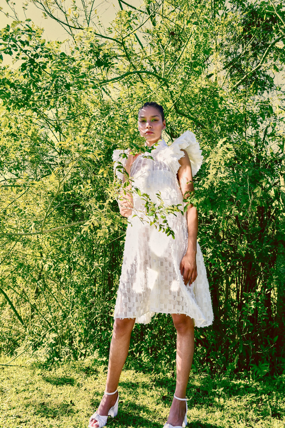 Aline Dziedzic image