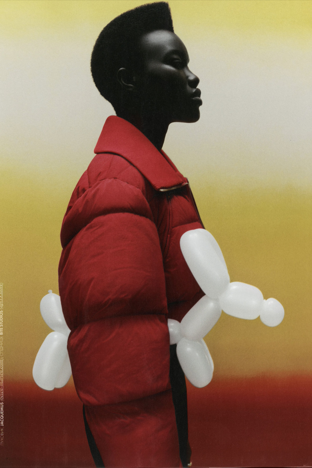 Dori Dorcas image