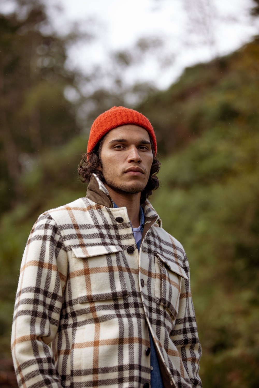 Felix Higgins image