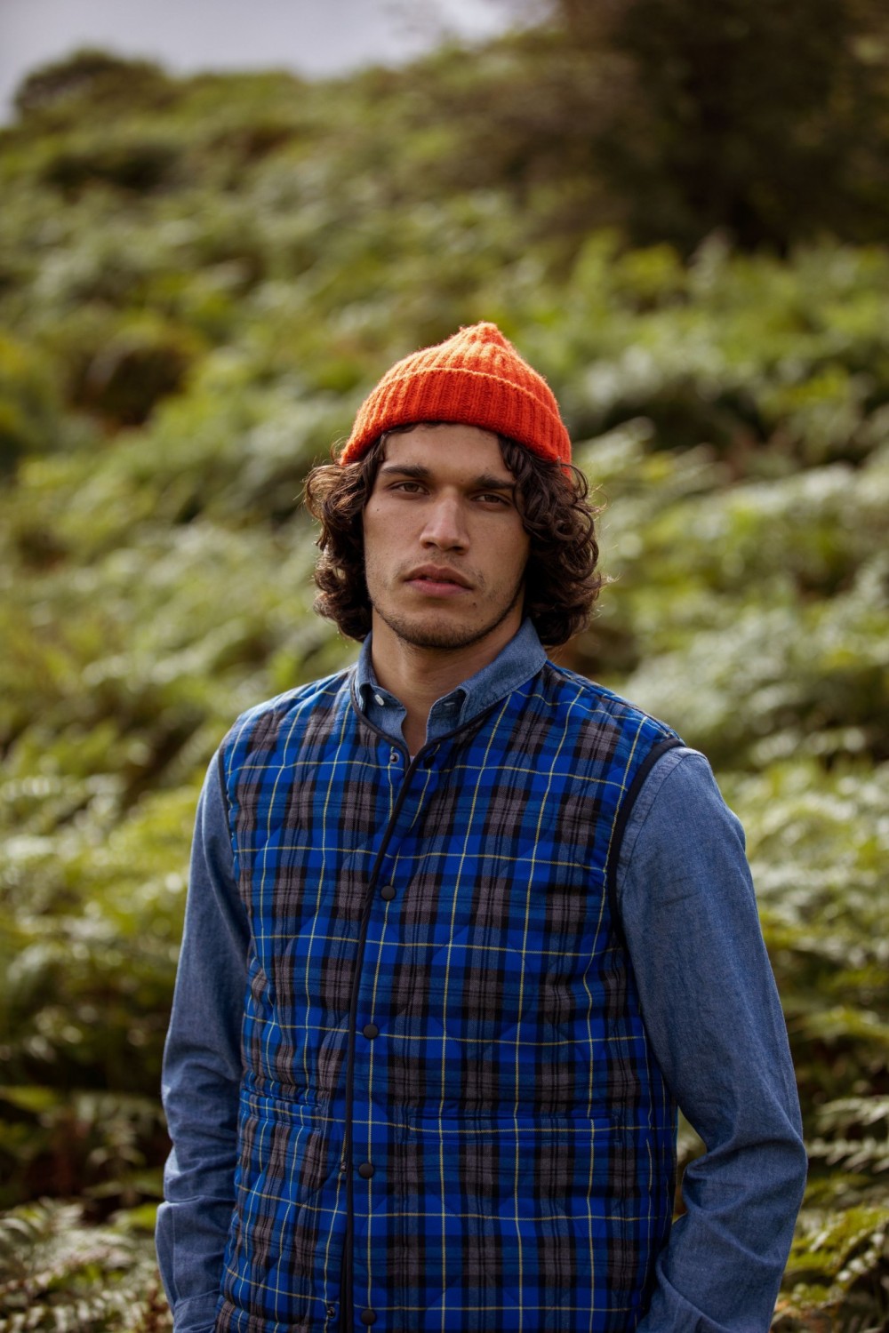 Felix Higgins image