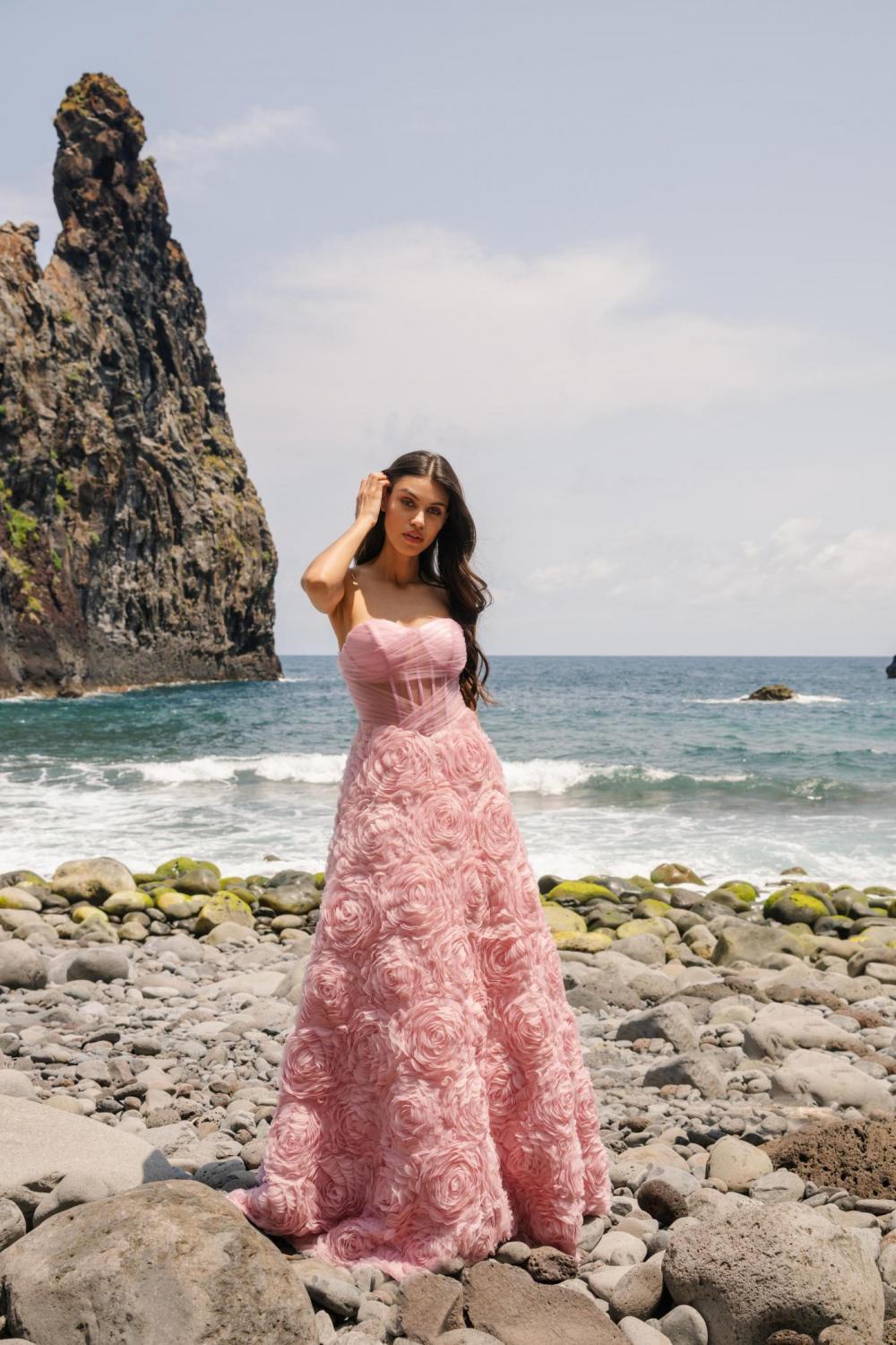 Estefany Gutierrez image